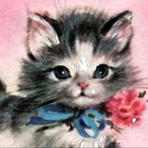 Meet your Posher, Alice